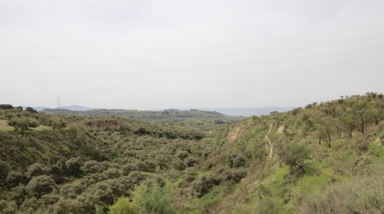 Granada - Víznar - 113000m2