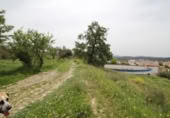 Xalet independent amb terreny en venda a la España, Víznar, ref.: TR409576 foto