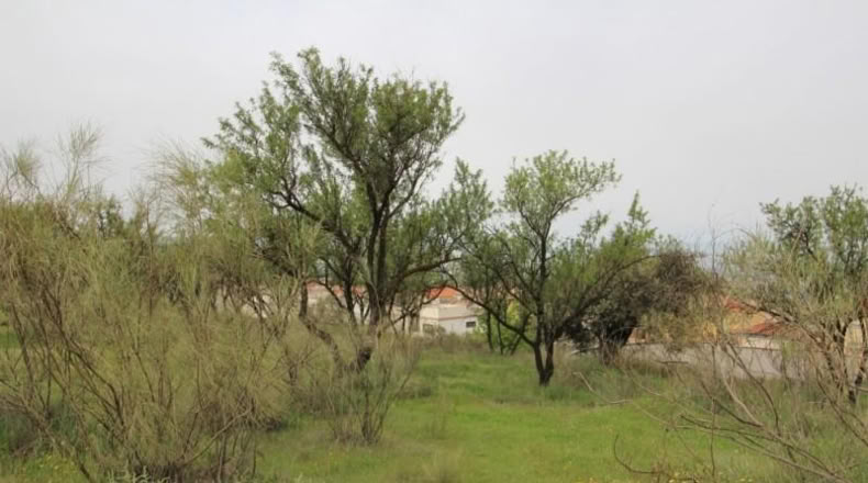 Granada - Víznar - 113000m2