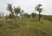 Xalet independent amb terreny en venda a la España, Víznar, ref.: TR409576 foto