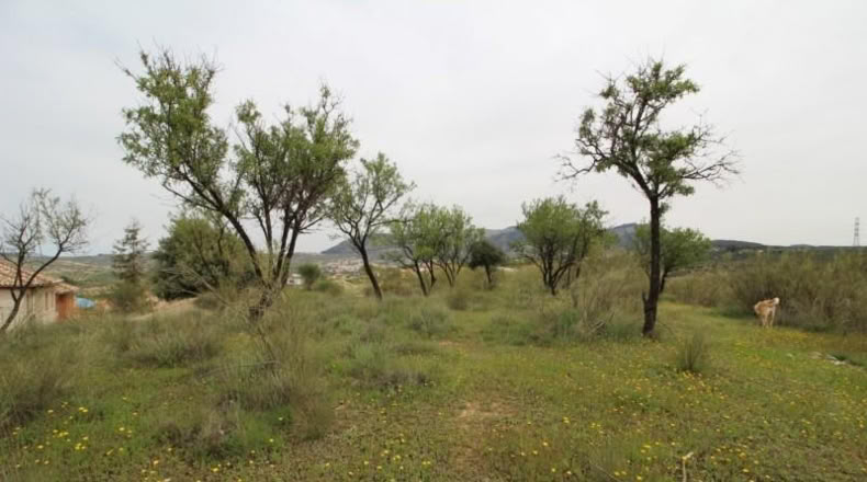 Granada - Víznar - 113000m2