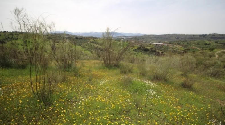 Granada - Víznar - 113000m2