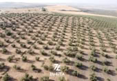 Terreny no urbanitzable en venda a la España, Montoro, ref.: TR350710 foto
