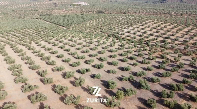 Granada - Atarfe - 34700m2