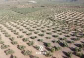 Terreny no urbanitzable en venda a la España, Montoro, ref.: TR350710 foto