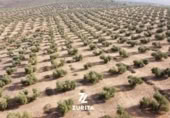 Terreny no urbanitzable en venda a la España, Montoro, ref.: TR350710 foto