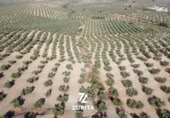 Terreny no urbanitzable en venda a la España, Montoro, ref.: TR350710 foto