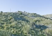 Non-developable land for sale on España, Motril, ref: TR409578 photo