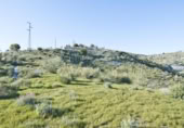 Non-developable land for sale on España, Motril, ref: TR409578 photo