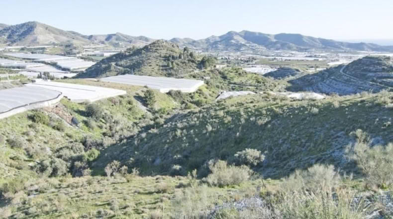 Granada - Motril - 19114m2
