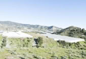 Non-developable land for sale on España, Motril, ref: TR409578 photo