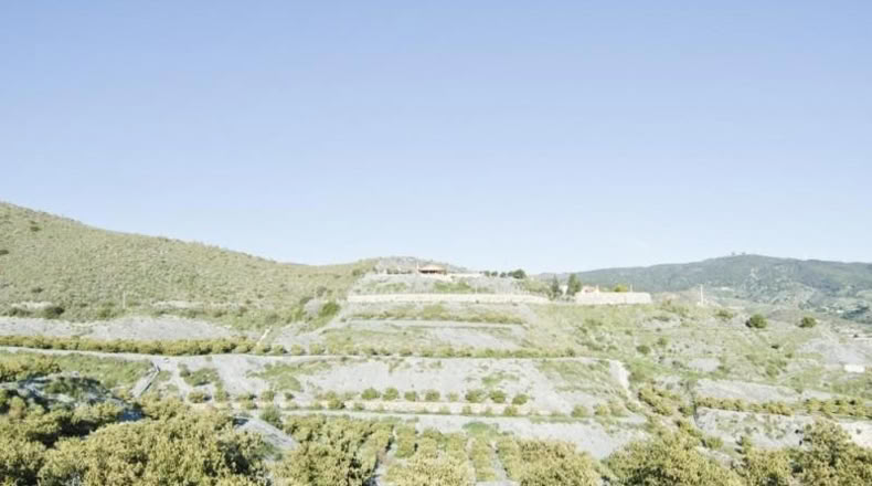 Granada - Motril - 19114m2