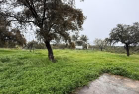 Alcaracejos 23500&nbsp;m² 