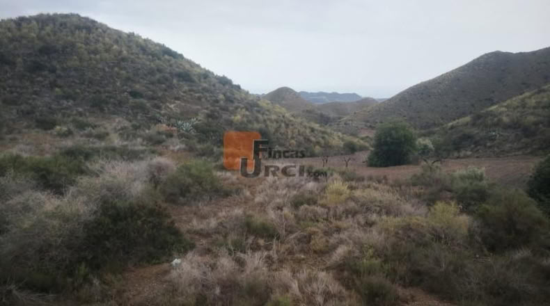 Murcia - Águilas - 230000m2