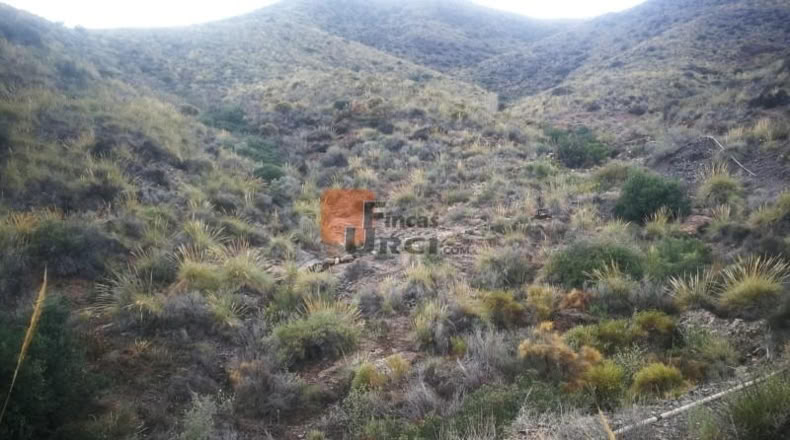 Murcia - Águilas - 230000m2