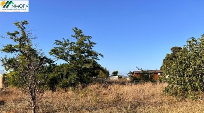 Castellón - Vinaroz - 2000m2