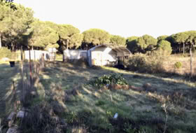 Almonte 2400&nbsp;м²