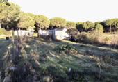 Detached villa with land for sale on España, Almonte, ref: TR364708 photo