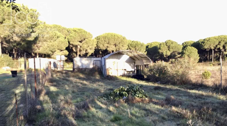 Almería - Alhabia - 2400m2