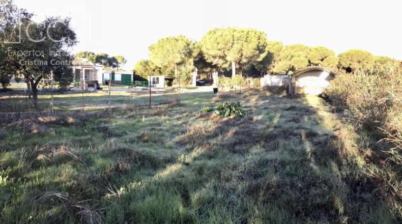 Almería - Alhabia - 2400m2