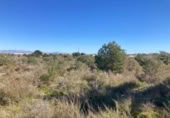 Parcel·la urbanitzable en venda a la España, Santa Pola, ref.: TR409590 foto