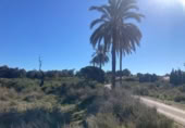 Parcel·la urbanitzable en venda a la España, Santa Pola, ref.: TR409590 foto