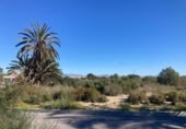 Parcel·la urbanitzable en venda a la España, Santa Pola, ref.: TR409590 foto