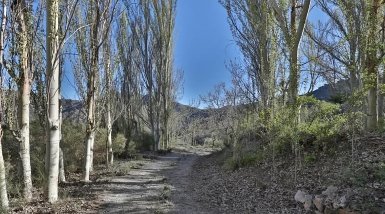 Granada - Dúrcal - 194m2