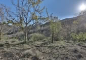 Country house with land for sale on España, Dúrcal, ref: TR409604 photo