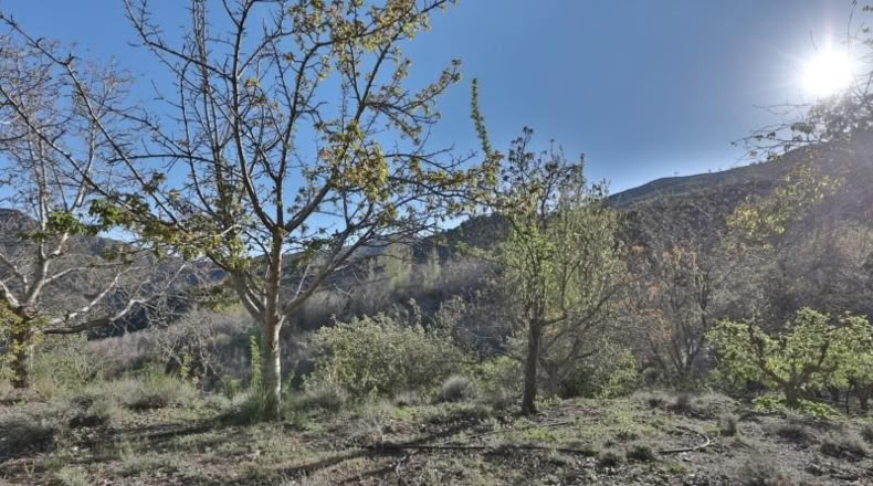 Granada - Dúrcal - 194m2
