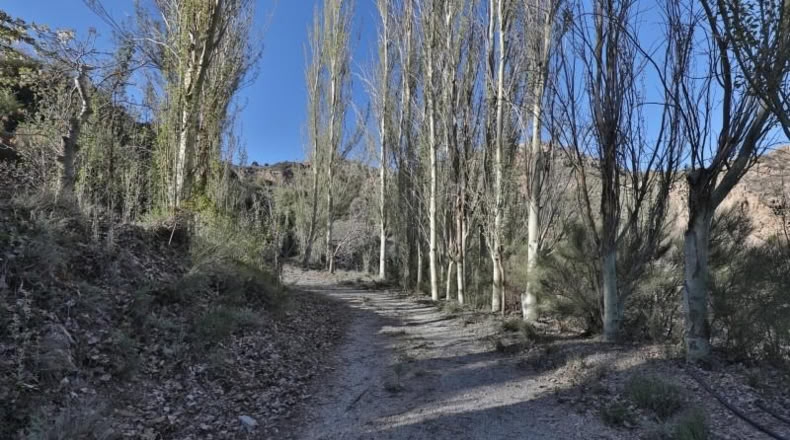 Granada - Dúrcal - 194m2
