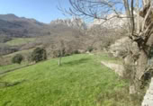 Xalet independent amb terreny en venda a la España, Camaleño, ref.: TR409608 foto