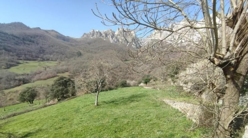 Cantabria - Camaleño - 1500m2