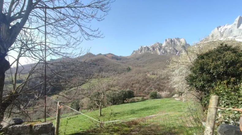 Cantabria - Camaleño - 1500m2