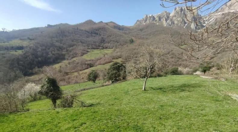 Cantabria - Camaleño - 1500m2