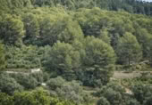 Casa de camp amb terreny en venda a la España, Alfauir, ref.: TR409603 foto