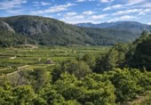 Casa de camp amb terreny en venda a la España, Alfauir, ref.: TR409603 foto