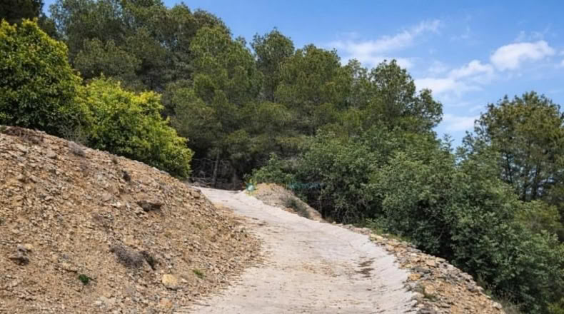 Валенсия - Alfauir - 18833m2