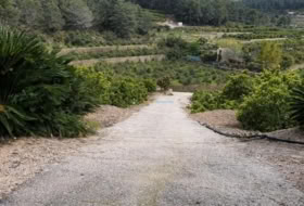 Foto 19