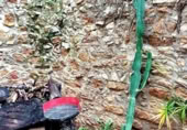 Xalet independent amb terreny en venda a la España, la Venta de Sant Antoni, ref.: TR409336 foto