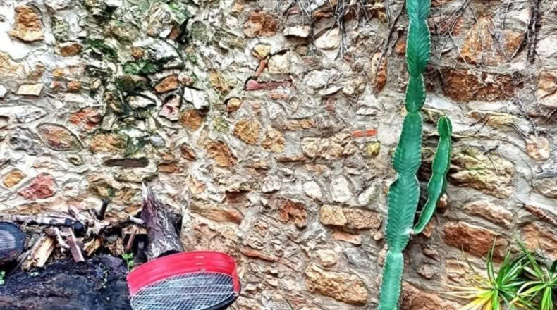 Castellon - la Venta de Sant Antoni - 198m2