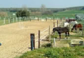 Chalet independiente con terreno en venta en la España, Pilas, ref: TR366494 foto