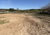 Chalet independiente con terreno en venta en la España, Pilas, ref: TR366494 foto