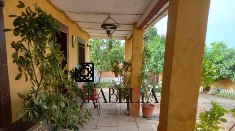 Córdoba - Córdoba - 385m2