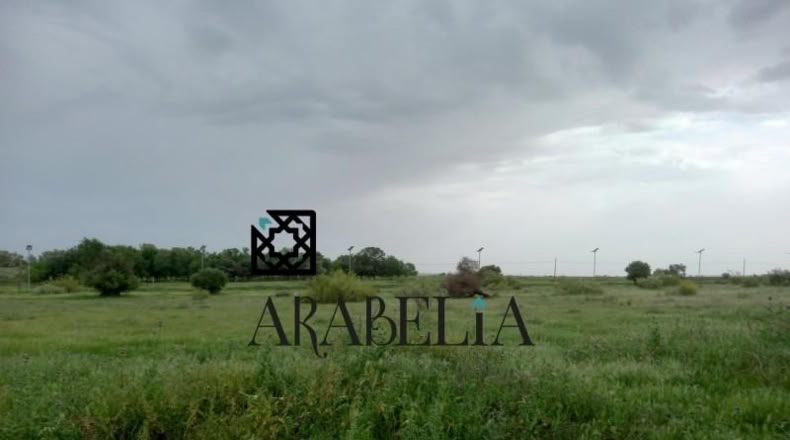Córdoba - Córdoba - 385m2