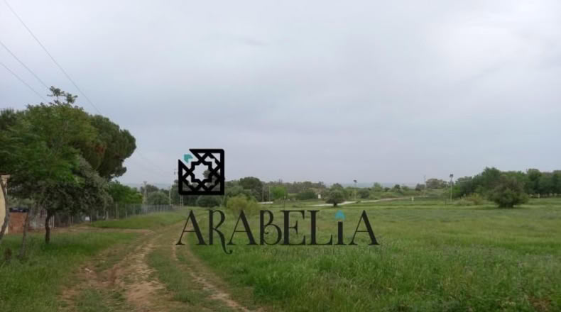 Córdoba - Córdoba - 385m2