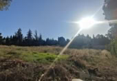 Sòl urbà en venda a la España, Còrdova, ref.: TR409633 foto