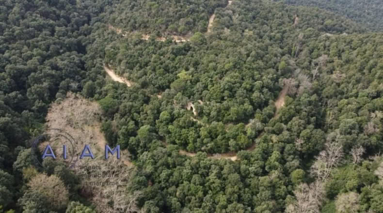 Barcelona - Tordera - 400000m2