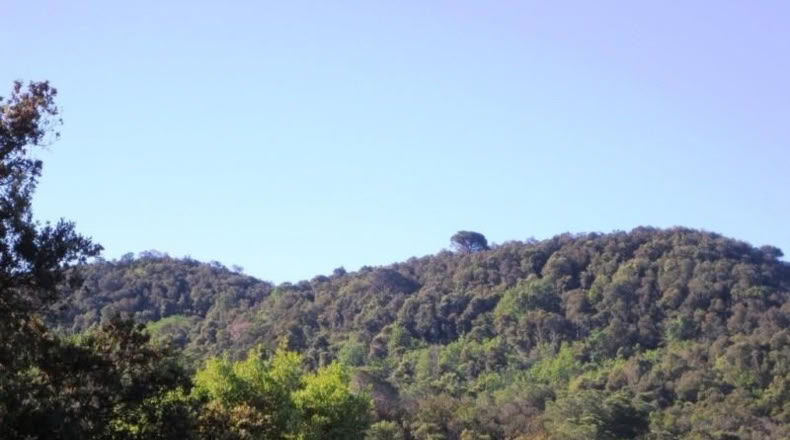 Barcelona - Tordera - 400000m2