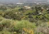 Terreno no urbanizable en venta en la España, Campo-Mijas, ref: TR404766 foto